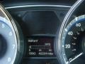 Camel Pearl - Sonata GLS Photo No. 16