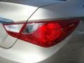 Camel Pearl - Sonata GLS Photo No. 22