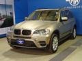 Platinum Bronze Metallic - X5 xDrive35i Photo No. 3