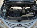 Camel Pearl - Sonata GLS Photo No. 29