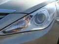 Camel Pearl - Sonata GLS Photo No. 30