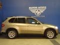 Platinum Bronze Metallic - X5 xDrive35i Photo No. 10