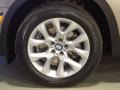 Platinum Bronze Metallic - X5 xDrive35i Photo No. 13