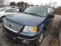 Medium Wedgewood Blue - Expedition XLT 4x4 Photo No. 3