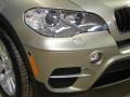 Platinum Bronze Metallic - X5 xDrive35i Photo No. 36