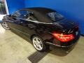 Black - E 350 Cabriolet Photo No. 15