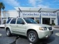Gold Ash Metallic - Escape Limited 4WD Photo No. 1