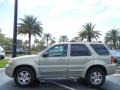 Gold Ash Metallic - Escape Limited 4WD Photo No. 4