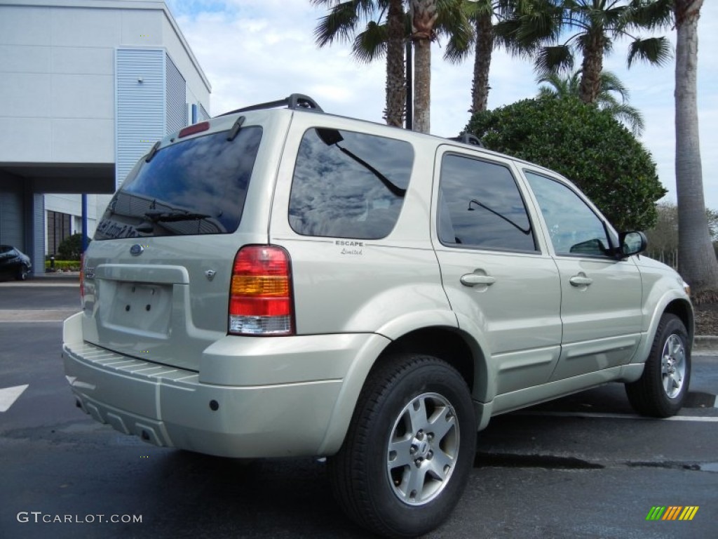 Gold Ash Metallic 2005 Ford Escape Limited 4WD Exterior Photo #77287670