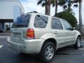 Gold Ash Metallic 2005 Ford Escape Limited 4WD Exterior