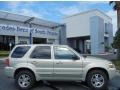 Gold Ash Metallic - Escape Limited 4WD Photo No. 8