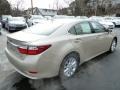 2013 Satin Cashmere Metallic Lexus ES 300h Hybrid  photo #4