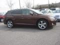 2009 Sunset Bronze Mica Toyota Venza V6 AWD  photo #3