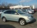 Bamboo Green Pearl - RX 350 AWD Photo No. 1