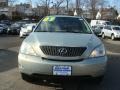 Bamboo Green Pearl - RX 350 AWD Photo No. 2