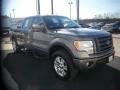 2010 Sterling Grey Metallic Ford F150 FX4 SuperCrew 4x4  photo #3