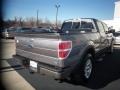 2010 Sterling Grey Metallic Ford F150 FX4 SuperCrew 4x4  photo #9