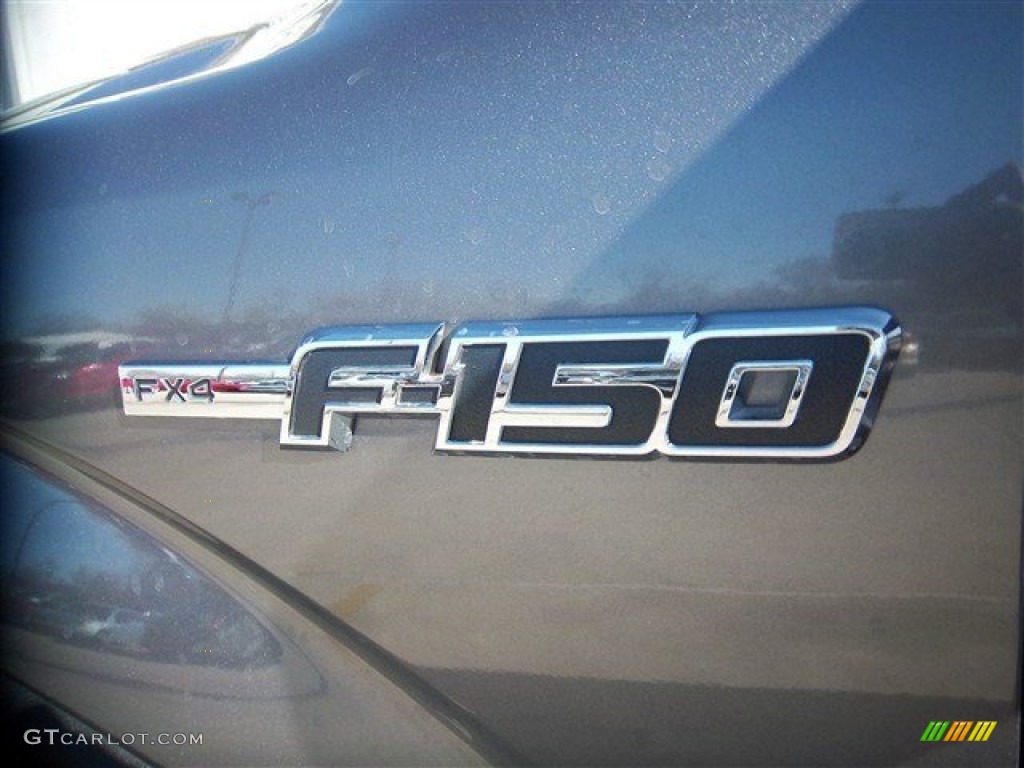 2010 F150 FX4 SuperCrew 4x4 - Sterling Grey Metallic / Black photo #15