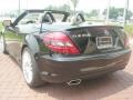 2009 Black Mercedes-Benz SLK 350 Roadster  photo #4