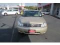 Light French Silk Metallic - Montego Luxury Photo No. 2