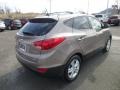 2013 Chai Bronze Hyundai Tucson GLS AWD  photo #7