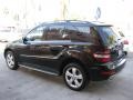 Black - ML 350 Photo No. 4