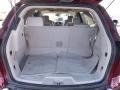 Titanium/Dark Titanium Trunk Photo for 2008 Buick Enclave #77319733