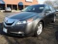 2010 Polished Metal Metallic Acura TL 3.5  photo #1