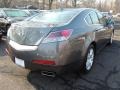 2010 Polished Metal Metallic Acura TL 3.5  photo #5