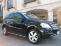 Black - ML 350 Photo No. 25
