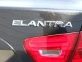 2009 Black Pearl Hyundai Elantra GLS Sedan  photo #19