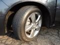 Graphite Luster Pearl - TSX Sedan Photo No. 28