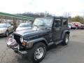 Black 1999 Jeep Wrangler Sport 4x4