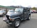 1999 Black Jeep Wrangler Sport 4x4  photo #1