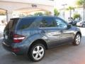 2010 Steel Grey Metallic Mercedes-Benz ML 350  photo #2