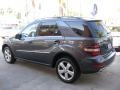 Steel Grey Metallic - ML 350 Photo No. 4