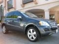 2010 Steel Grey Metallic Mercedes-Benz ML 350  photo #25