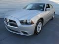 Bright Silver Metallic - Charger SE Photo No. 7