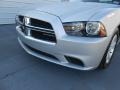 Bright Silver Metallic - Charger SE Photo No. 10