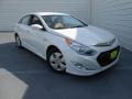 Porcelain White Pearl - Sonata Hybrid Photo No. 2