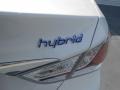 Porcelain White Pearl - Sonata Hybrid Photo No. 7