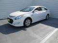 Porcelain White Pearl - Sonata Hybrid Photo No. 9