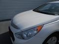 Porcelain White Pearl - Sonata Hybrid Photo No. 12
