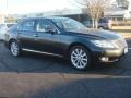 Smoky Granite Mica - LS 460 AWD Photo No. 2