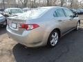 Palladium Metallic - TSX Sedan Photo No. 5