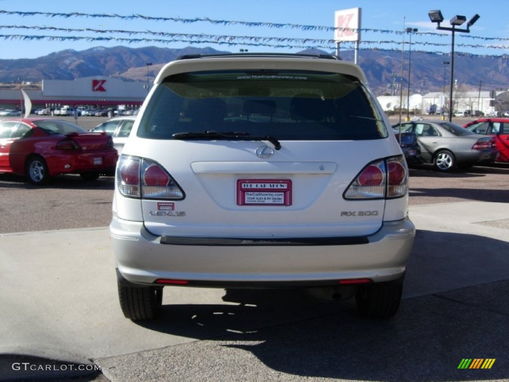 2001 RX 300 AWD - White Gold Crystal / Ivory photo #10