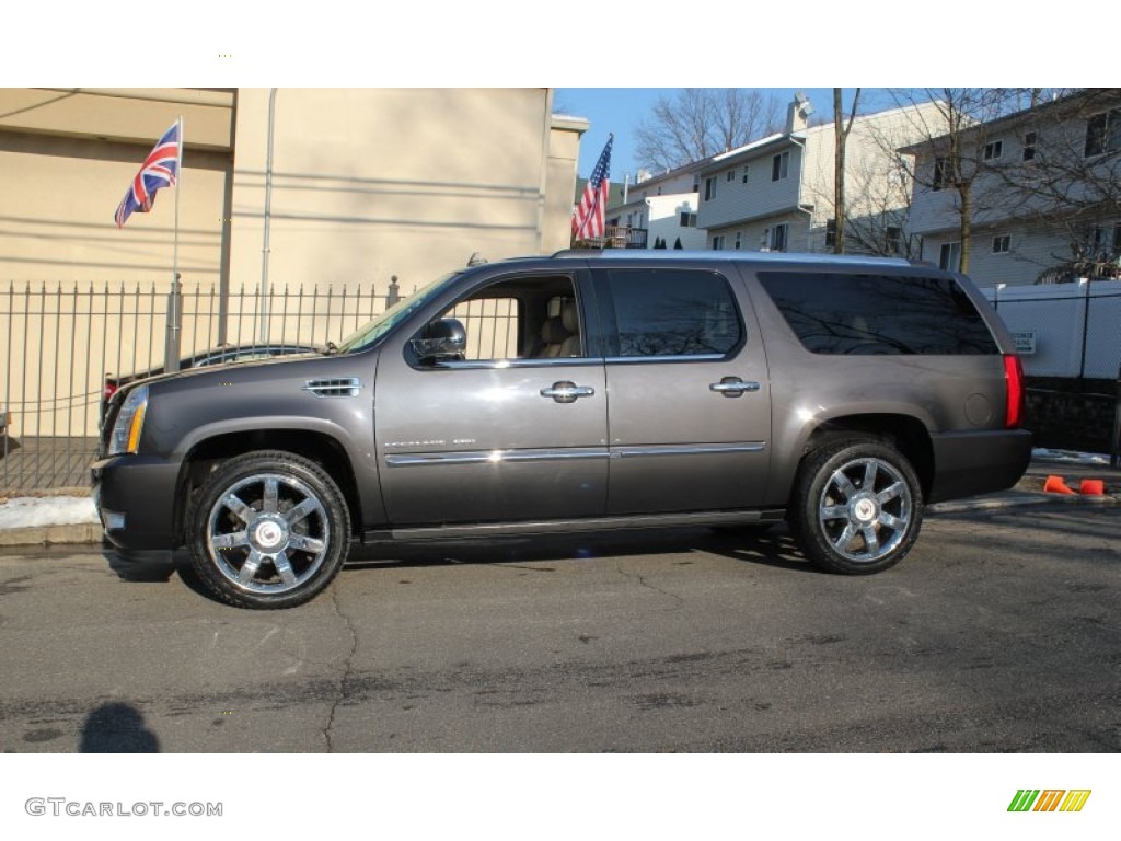 Galaxy Gray 2010 Cadillac Escalade ESV Premium AWD Exterior Photo #77348065