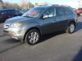 Nimbus Gray Metallic - MDX Technology Photo No. 6