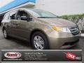 Mocha Metallic 2013 Honda Odyssey LX