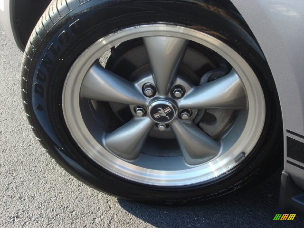 2006 Mustang V6 Premium Coupe - Tungsten Grey Metallic / Light Graphite photo #19